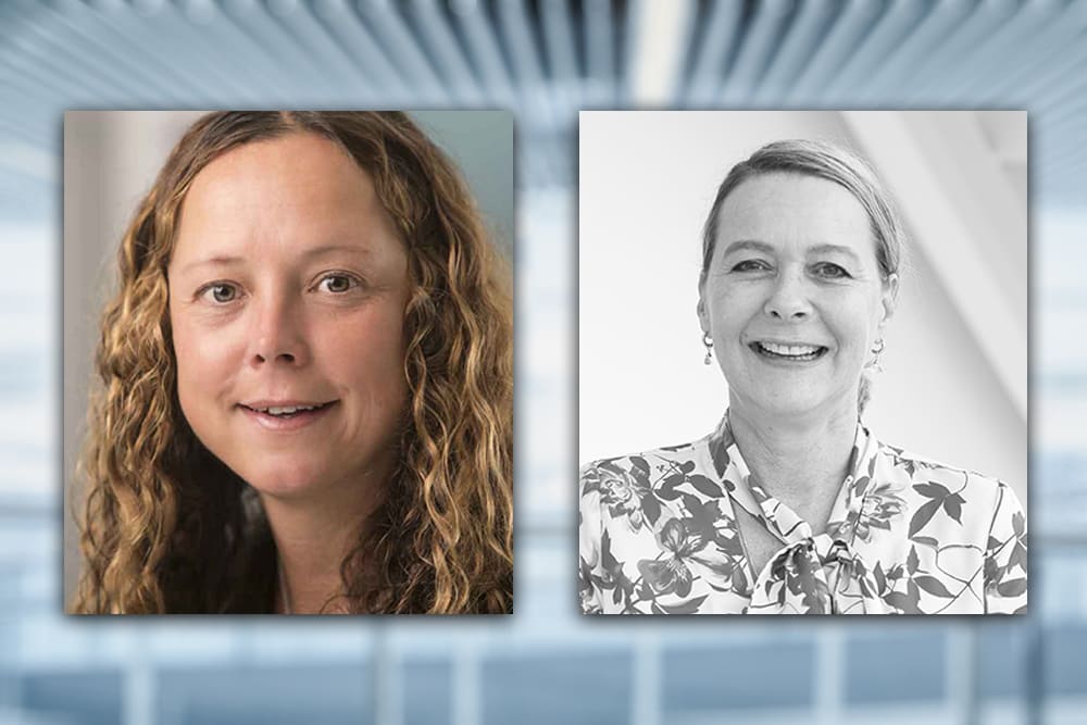 Timns und Middleton von der Liberty Steel Group