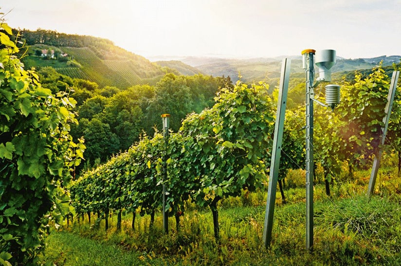 Intelligenter Weinbergpfahl von Voestalpine