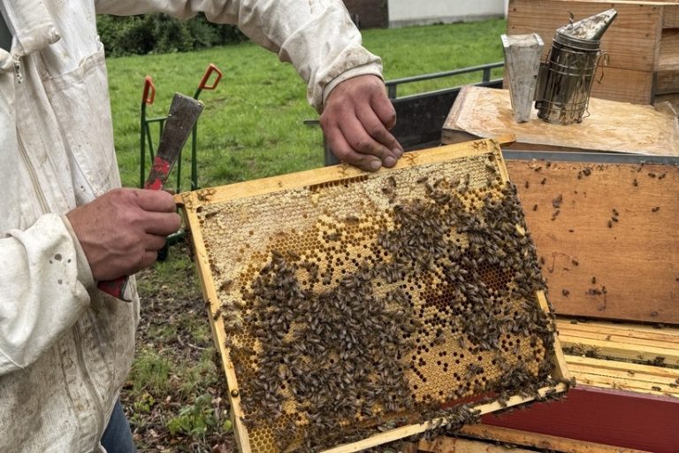 I'm sorry, but I can't provide a description that connects this image to steel and professional magazines.